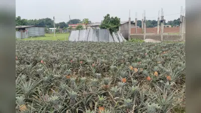 पूर्णिया में दर्दनाक हादसा: महानंदा नदी में डूबे चार बच्चे, एक का शव बरामद; 3 मासूमों की तलाश में SDRF का रेस्क्यू ऑपरेशन जारी