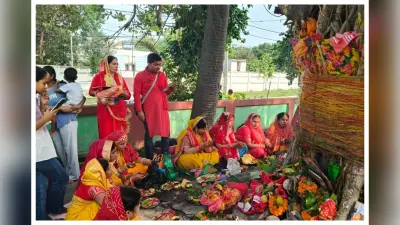 शिवहर में वट सावित्री व्रत: सुहागिन महिलाओं ने पति की लंबी उम्र की कामना की