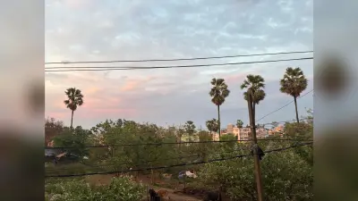 मधेपुरा में आज मौसम साफ रहने के आसार, तापमान 33 डिग्री तक पहुंचने की संभावना