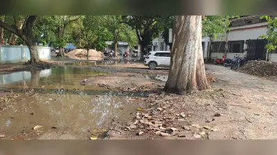 Katihar: समाहरणालय व सदर अनुमंडल परिसर जलजमाव से बदहाल , सरकारी कामकाज पर असर