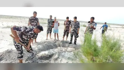 भारत-नेपाल सीमा पर एसएसबी की कार्रवाई, 80 किलो गांजा बरामद, एक तस्कर गिरफ्तार
