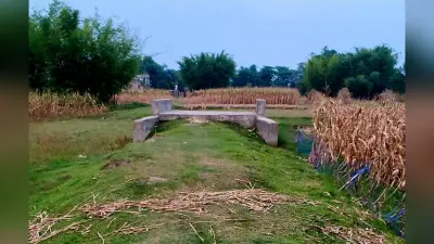 सड़क नहीं, तो फिर किस काम की पुलिया?