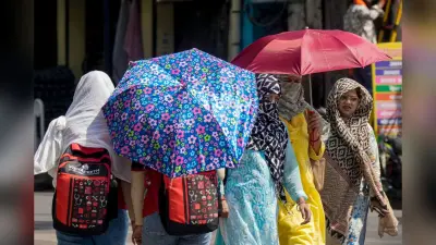 राजस्थान में अगले दो से तीन दिन हीटवेव का कहर, आंधी-बारिश की भी संभावना, आईएमडी अलर्ट