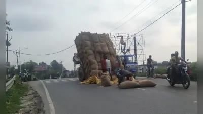 पूर्णिया के होप चौराहे के पास मकई लदा ट्रैक्टर पलटा, सड़क पर बिखरीं बोरियां, बाल-बाल बचे लोग