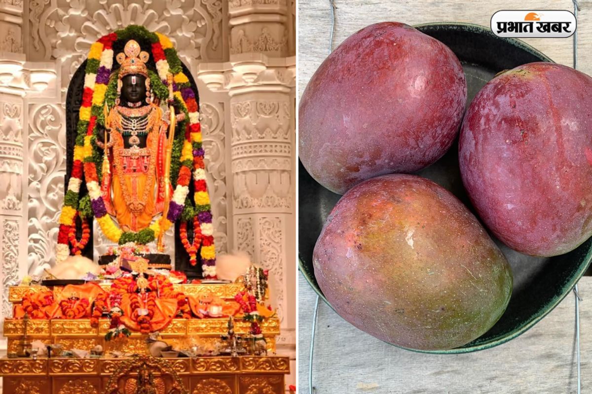 अयोध्या में रामलला को लगा दुनिया के सबसे महंगे आम का भोग, एक फल की कीमत जानकर उड़ जाएंगे होश