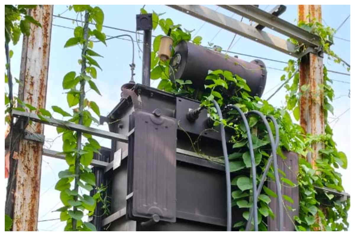 Bagaha News: वाल्मीकिनगर पावर हाउस में मेंटेनेंस को लेकर हरनाटांड़ फीडर 10 से 2 बजे तक रहेगा बंद