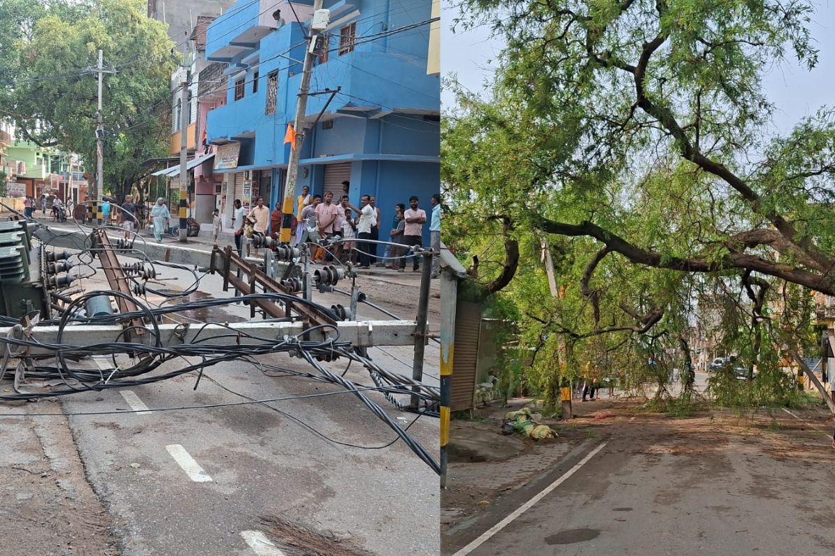 जहानाबाद में तेज आंधी-बारिश का कहर, विशाल पेड़ गिरने से ट्रांसफार्मर और कई बिजली पोल धराशायी