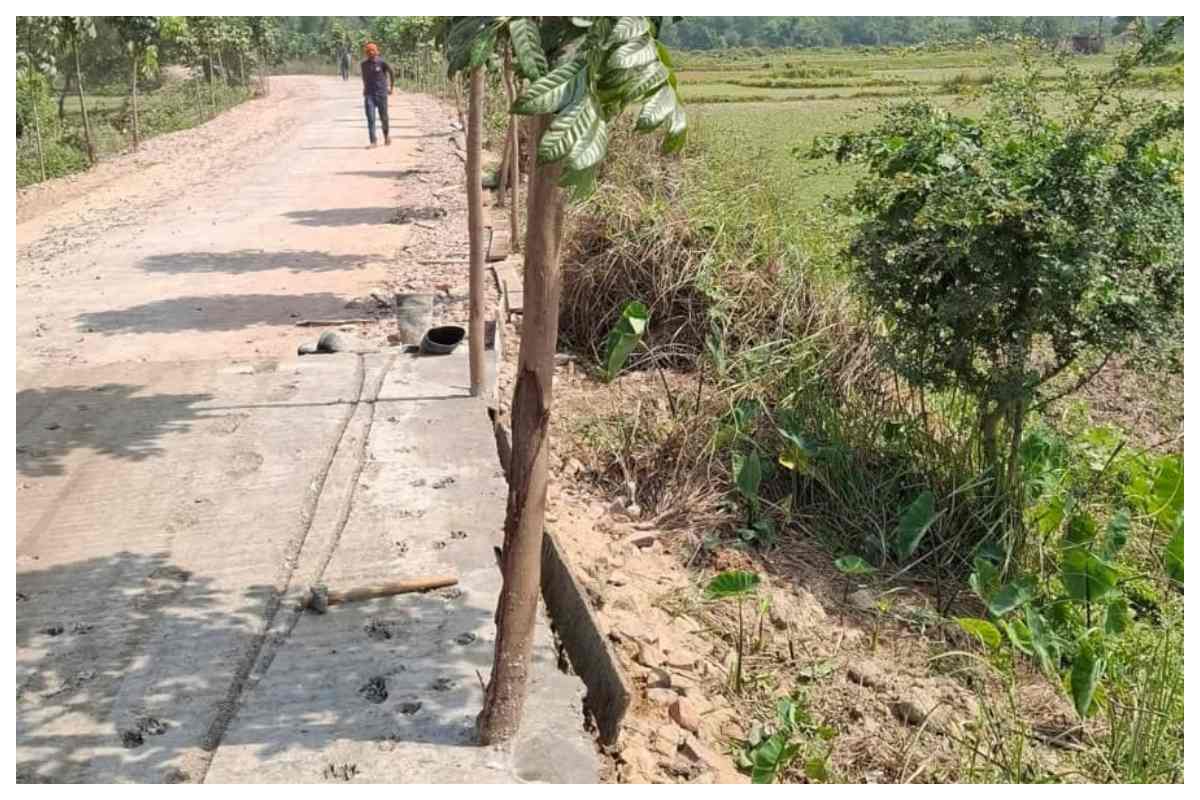 मधुबनी: सड़क निर्माण के चक्कर में पर्यावरण का कबाड़ा, ग्रामीणों ने उठाए प्रशासनिक तालमेल पर सवाल