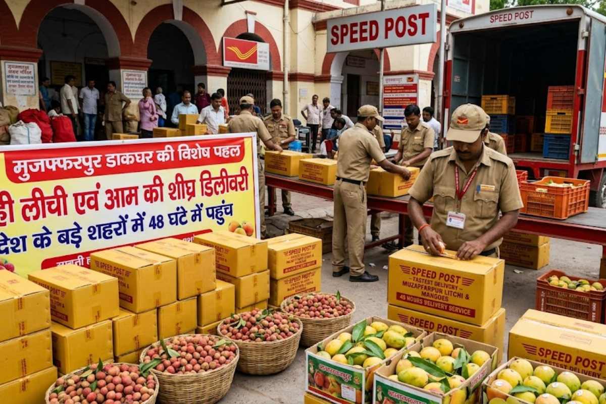 मुजफ्फरपुर : डाकघर की विशेष पहल, 48 घंटे में देश के बड़े शहरों में पहुंच रही लीची और आम