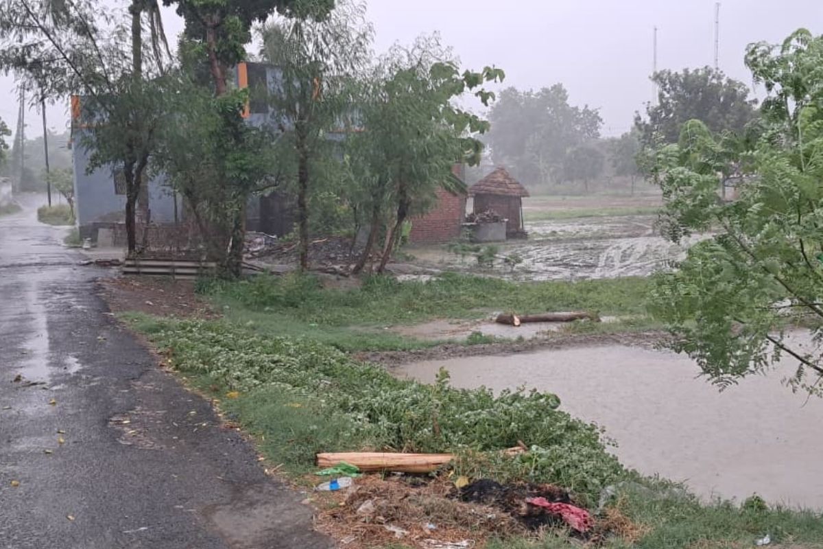 सारण: तरैया में झमाझम बारिश से बदला मौसम का मिजाज, IMD का अलर्ट, किसानों की बढ़ी उम्मीदें