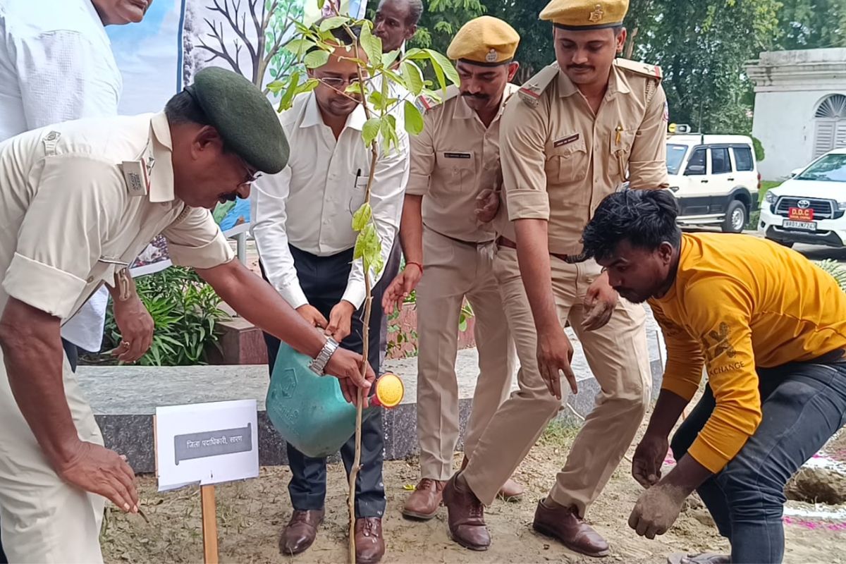 सारण के समाहरणालय परिसर में हुआ वृक्षारोपण, DM ने दिया बड़ा संदेश, कहा- हर व्यक्ति निभाए पर्यावरण बचाने की जिम्मेदारी