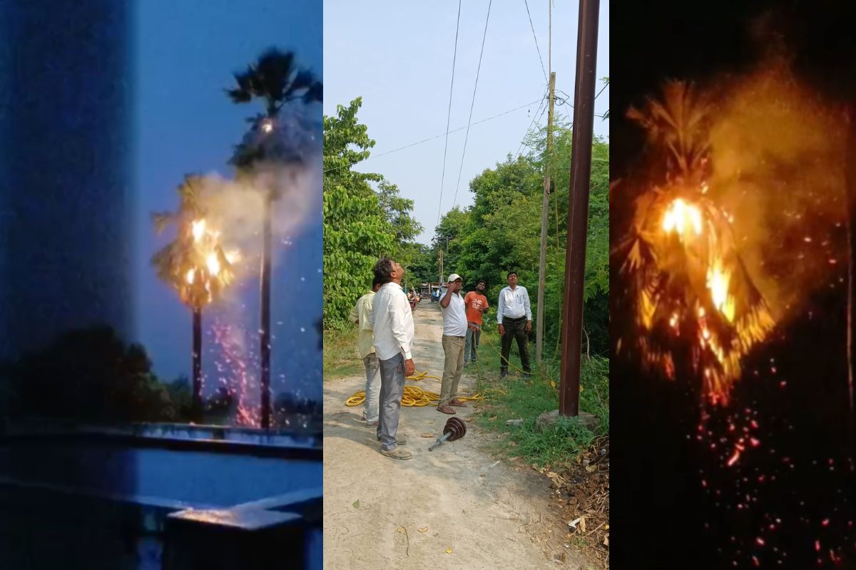 सारण में ताड़ के पेड़ पर गिरा ठनका, धू-धू कर जलता रहा पेड़, 8 घंटे से बिजली आपूर्ति ठप
