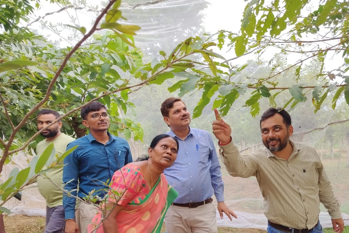 खरसावां के तसर किसानों की बदलेगी तकदीर, वैज्ञानिकों ने उत्पादन बढ़ाने के लिए बताए आधुनिक तरीके