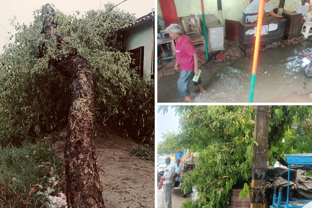 तेज आंधी-तूफान और बारिश से उखड़े पेड़, सड़क पर गिरे छप्पर और करकट