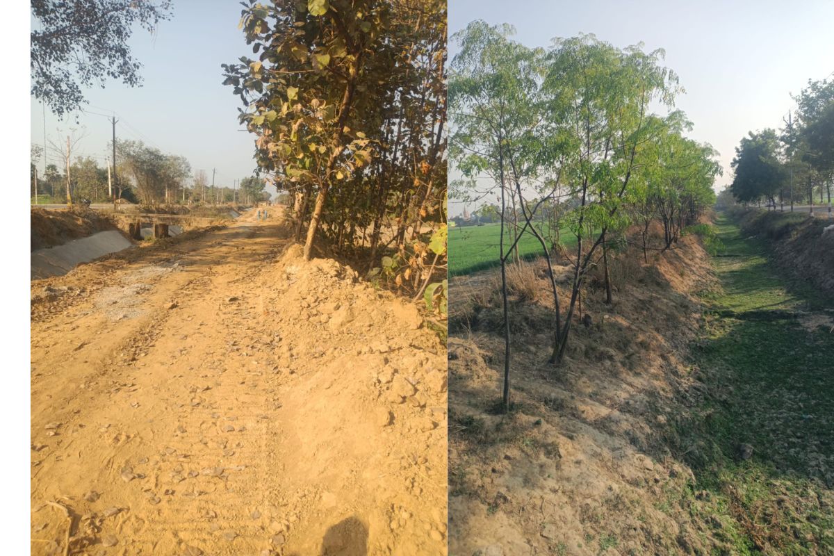 नालंदा में हरियाली पर 112 करोड़ खर्च करने के बाद भी विभाग के पास रिकार्ड नहीं, आखिरकार कितने पेड़ जिंदा बचें
