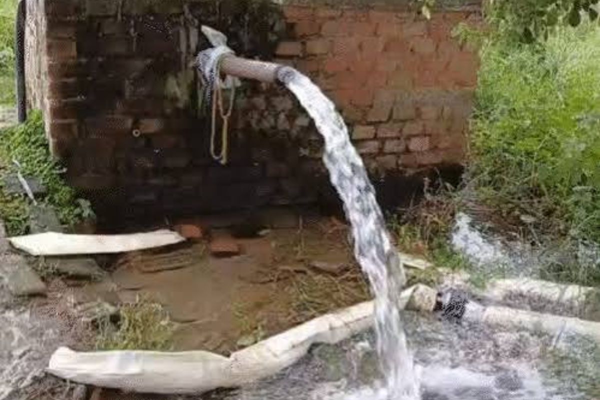 सूखे नदी-तालाब और गिरता भू-जल स्तर, खरीफ खेती पर मंडराया संकट, नालंदा में पानी की किल्लत से जूझ रहे किसान