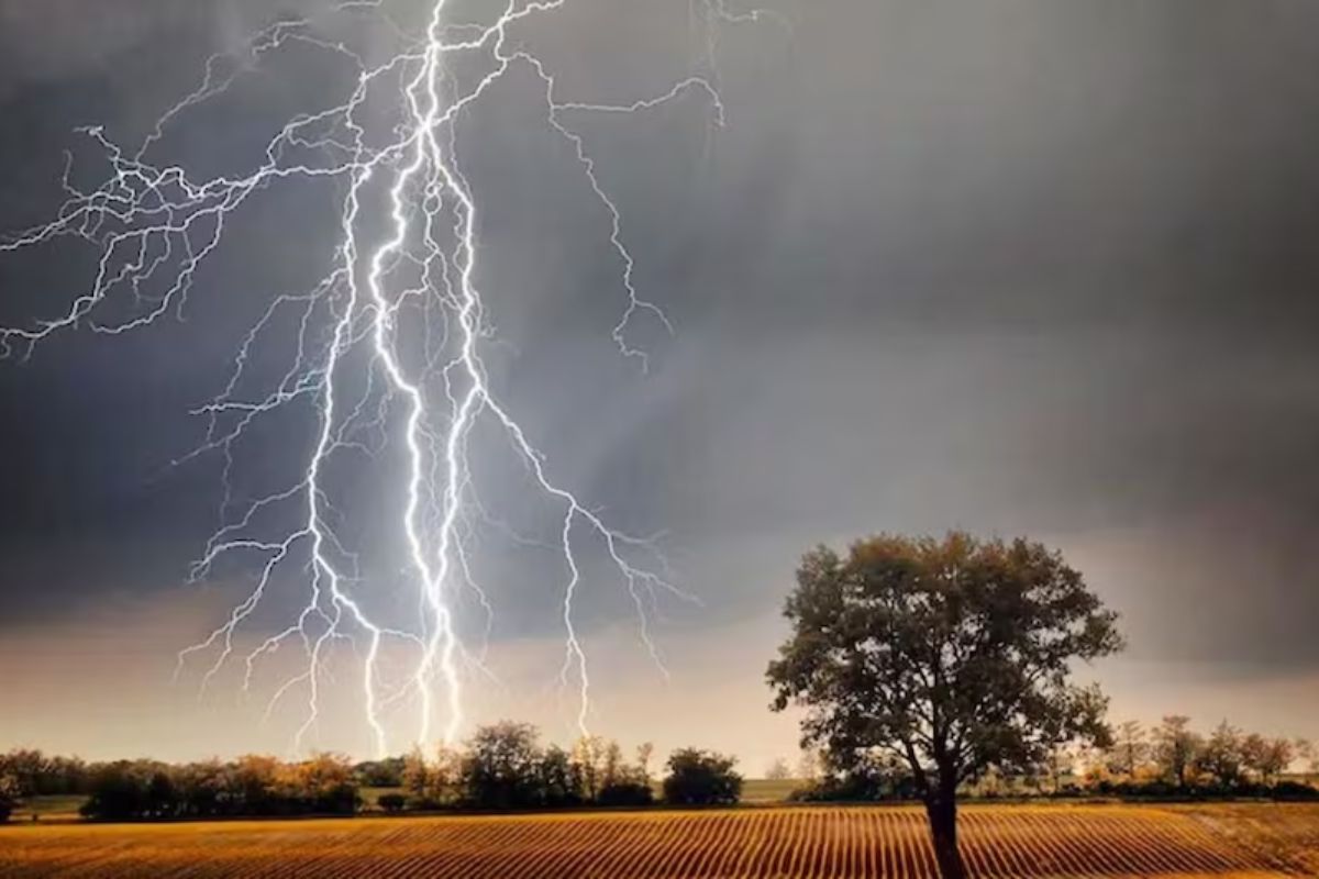 आकाशीय बिजली का कहर: 12 वर्षीय बालक की मौत, पिता गंभीर रूप से झुलसे