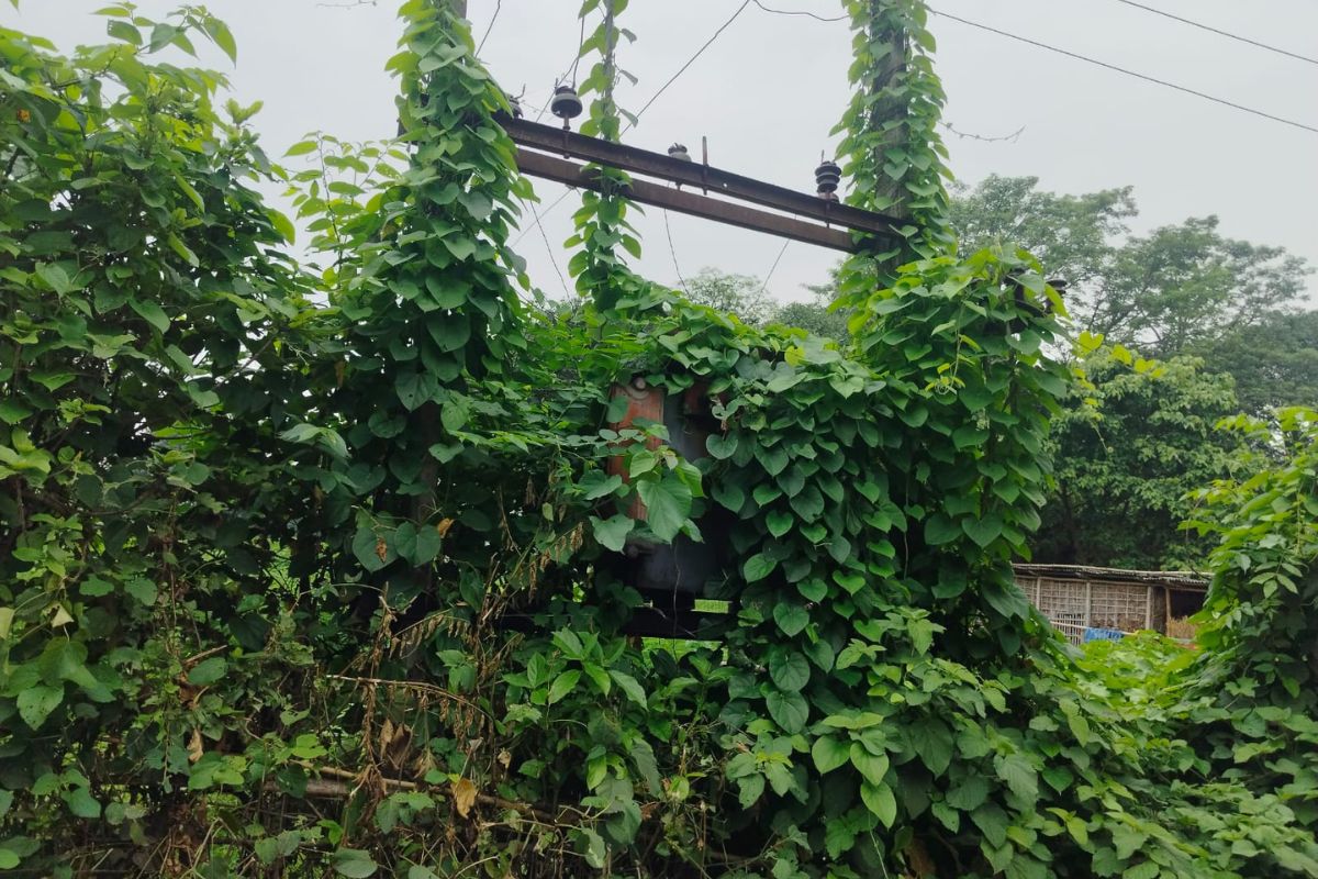 Electricity Transformer