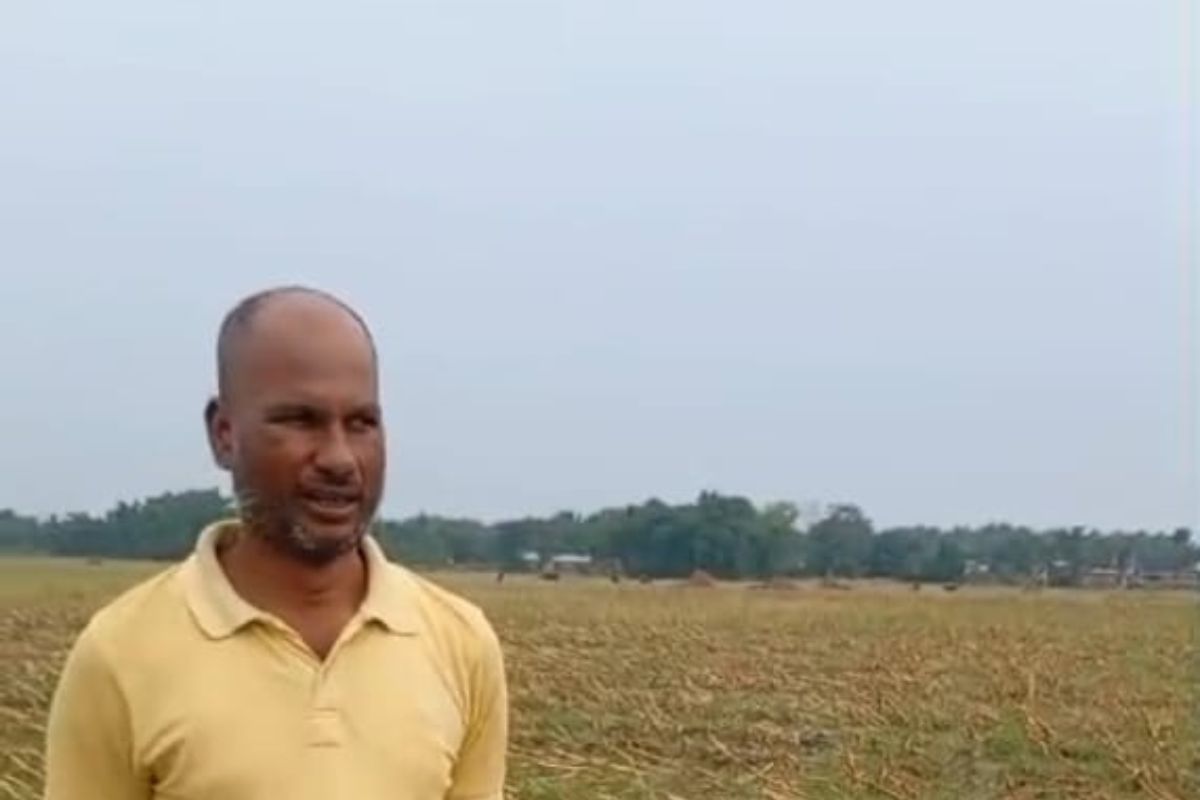 रानीगंज में बिजली गिरने से गाय की मौत, झुलसे पशुपालक