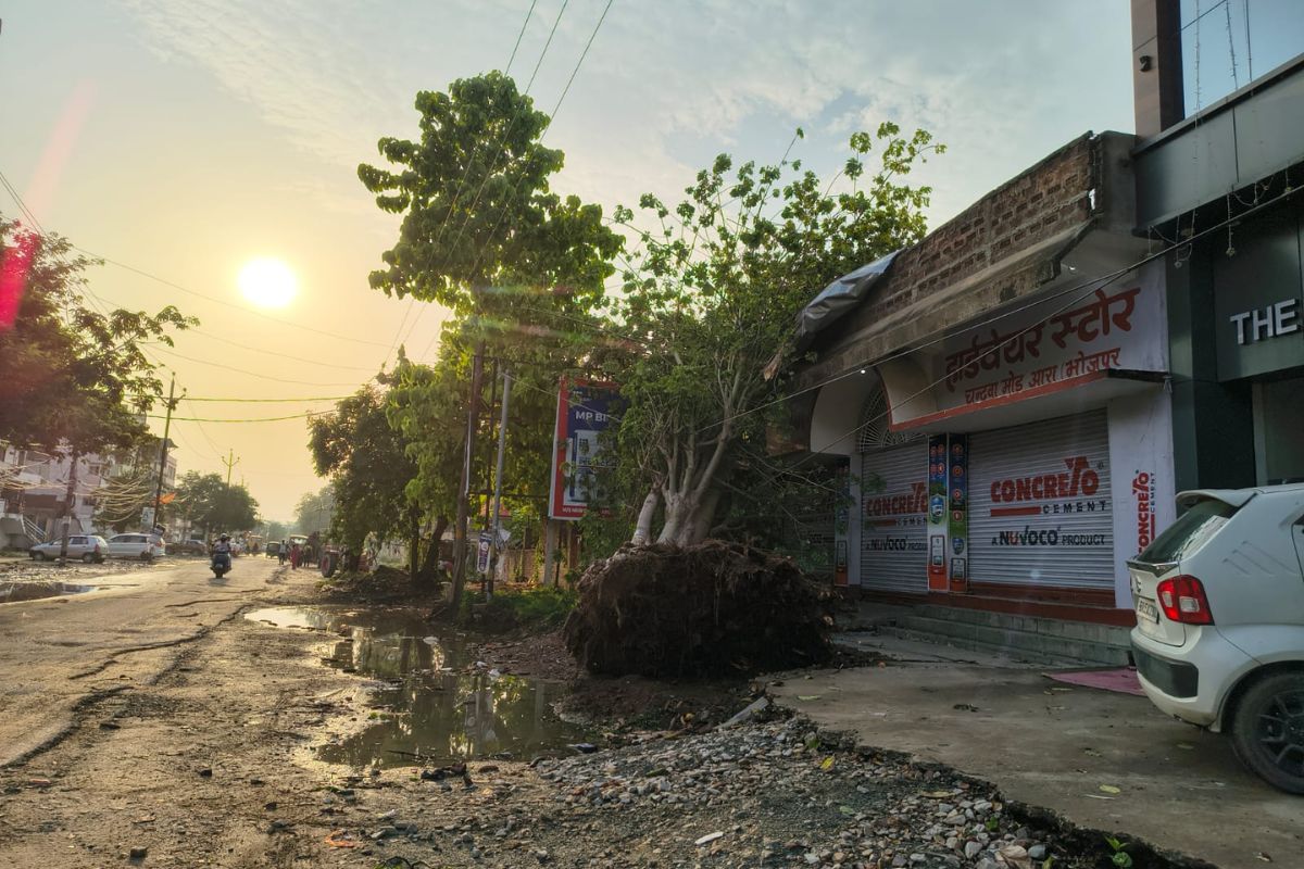 आंधी-बारिश से आरा बेहाल: सड़कों पर जलजमाव, कई जगहों पर पेड़ गिरे, आवागमन प्रभावित