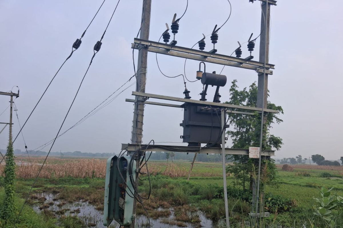 डंडखोरा में बांस के सहारे खेतों तक पहुंची हाईवोल्टेज बिजली