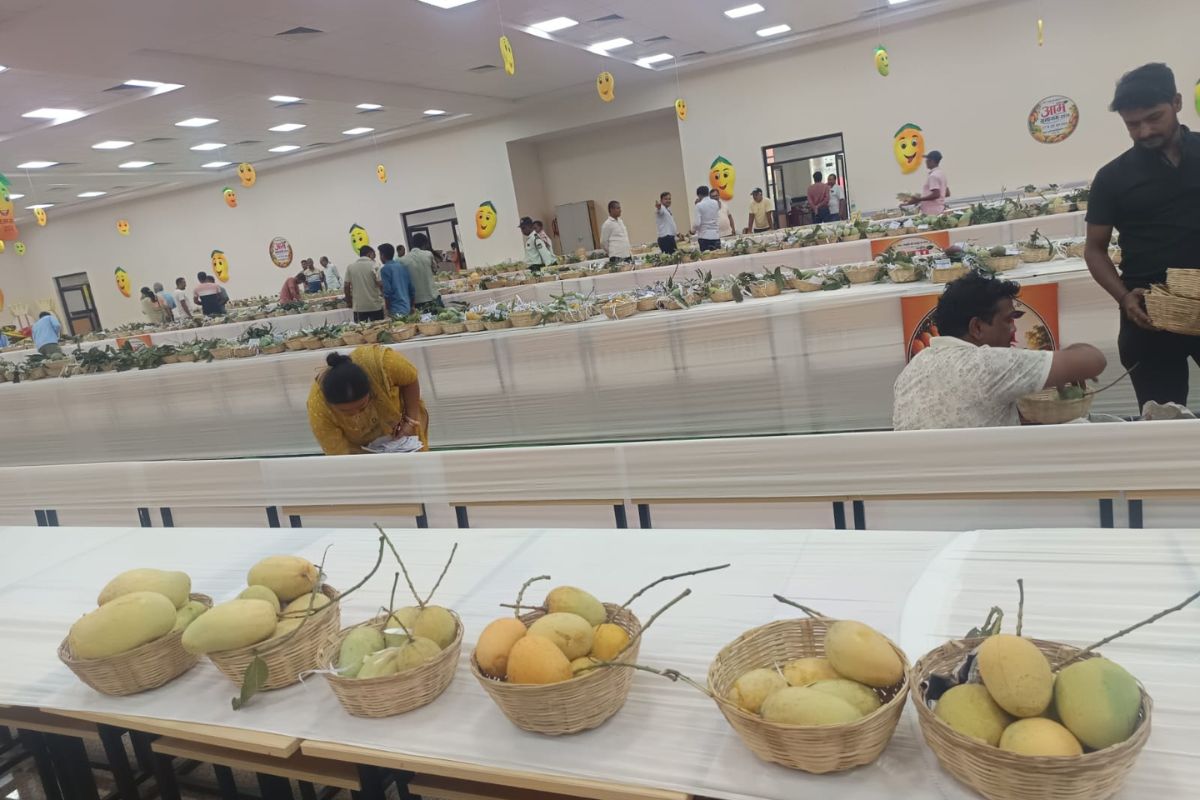 BAU National Mango Festival
