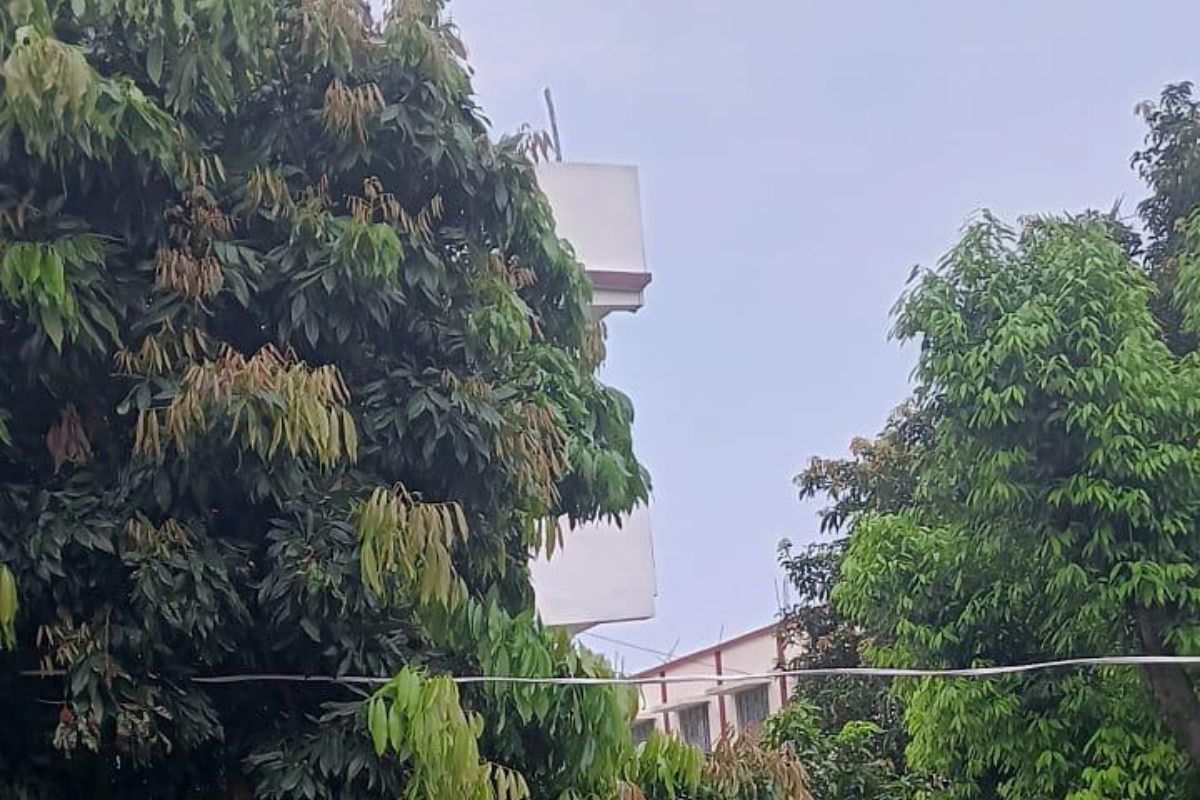 ‘मिनी दार्जिलिंग’ में ठंडी झोंकों संग बूंदाबांदी से पूर्णिया कूल-कूल, चादर तानकर सोए लोग