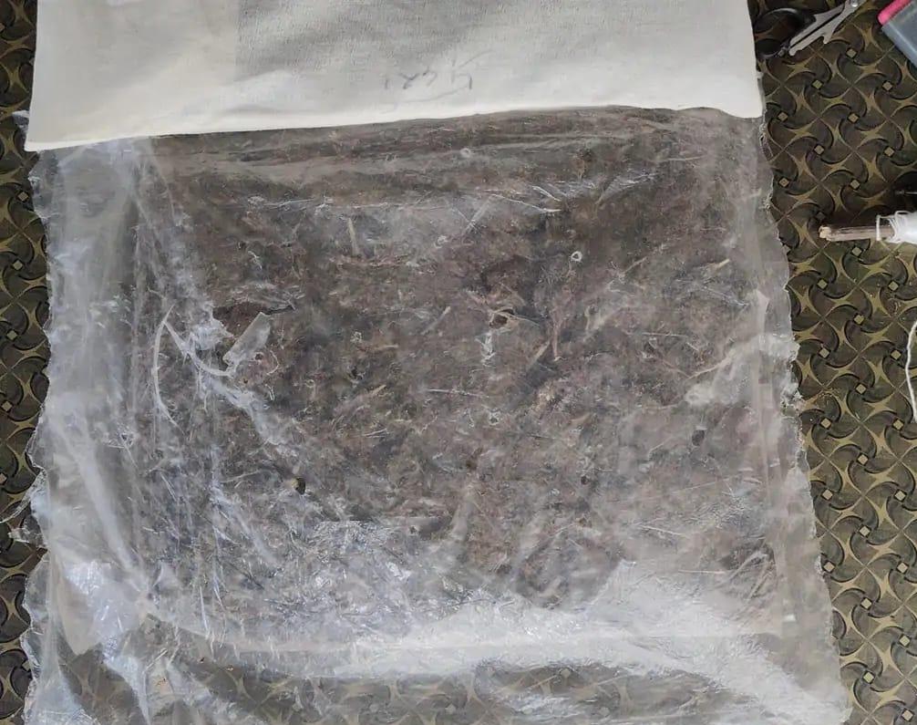 सुपौल में 1.95 किलो गांजा के साथ तस्कर गिरफ्तार, पुलिस छापेमारी में एक आरोपी फरार