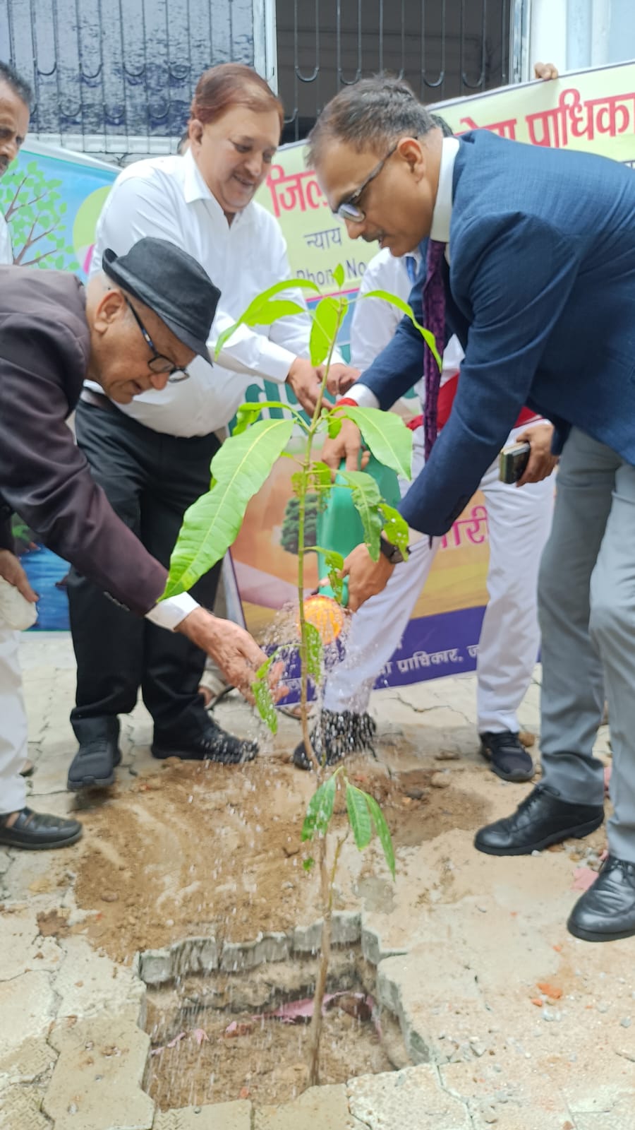 विश्व पर्यावरण दिवस पर व्यवहार न्यायालय परिसर में हुआ वृक्षारोपण, पर्यावरण संरक्षण का दिया संदेश