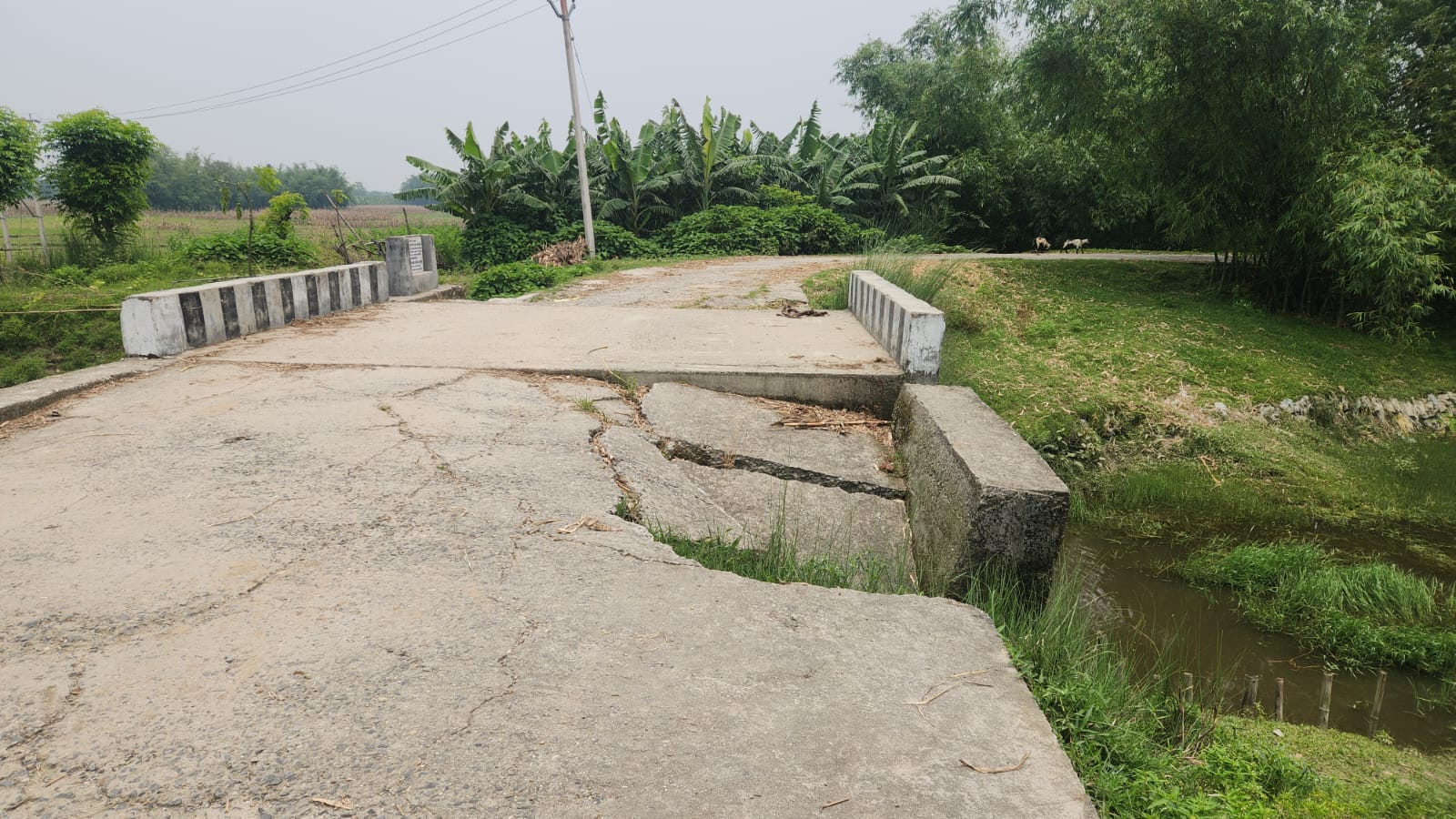 पूर्व मंत्री के गांव की सड़क पर संकट, कभी भी टूट सकता है जर्जर कलवर्ट