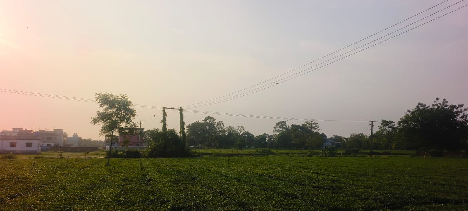 किशनगंज में मौसम ने बदला मिजाज, कहीं झमाझम बारिश तो कहीं उमस से लोग परेशान