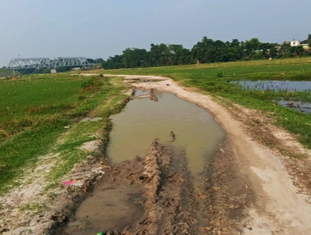 काशीबाड़ी में जलजमाव बना नासूर, कीचड़ भरी सड़क पर चलने को मजबूर ग्रामीण