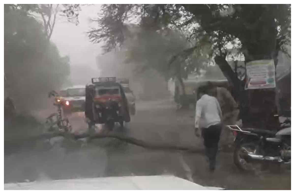 आंधी-बारिश में सड़क पर गिरा पेड़, एएसआई ने खुद हटाकर बहाल किया आवागमन