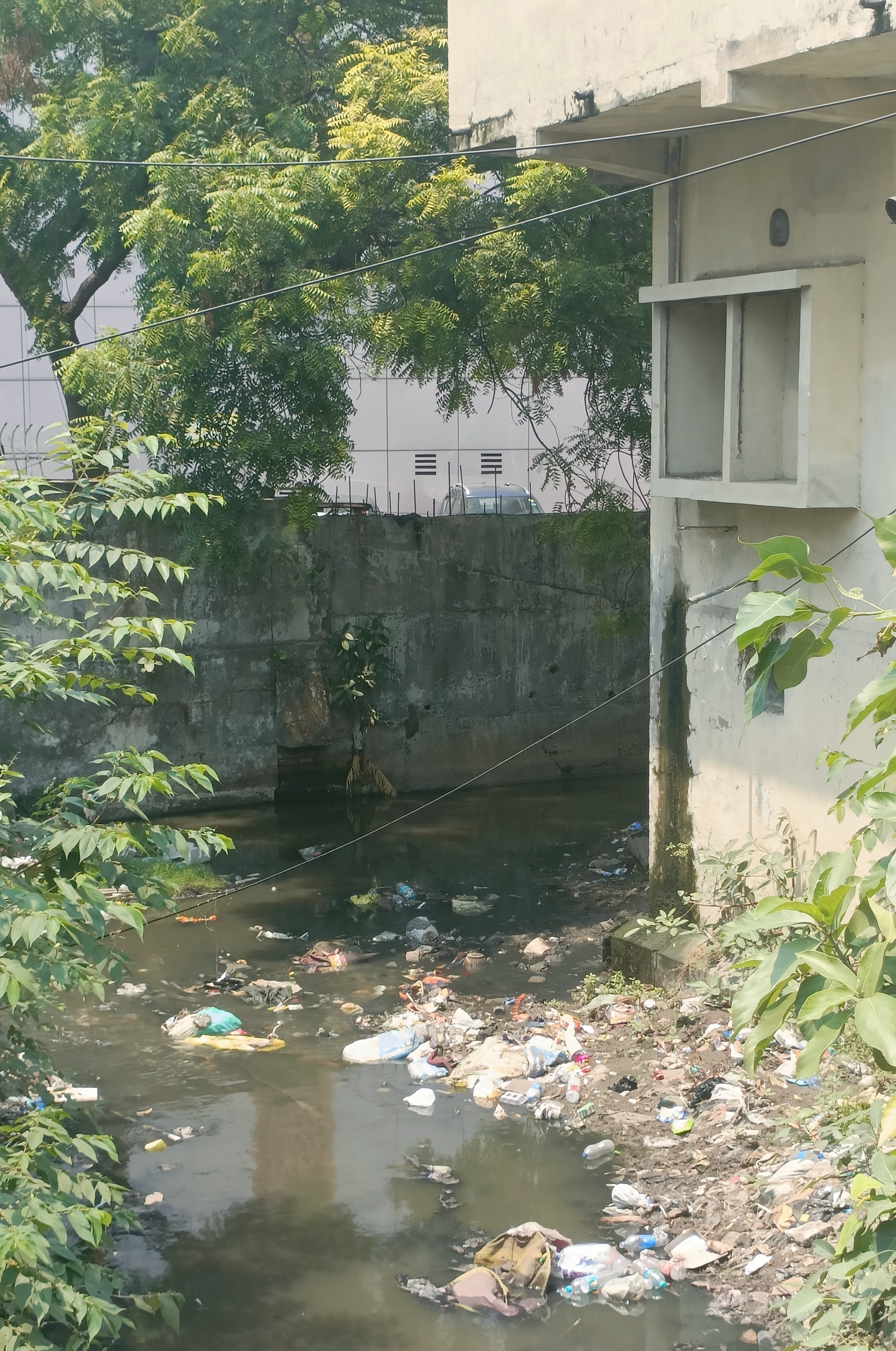 Bokaro News : अतिक्रमण का शिकार है सिंगारी जोरिया