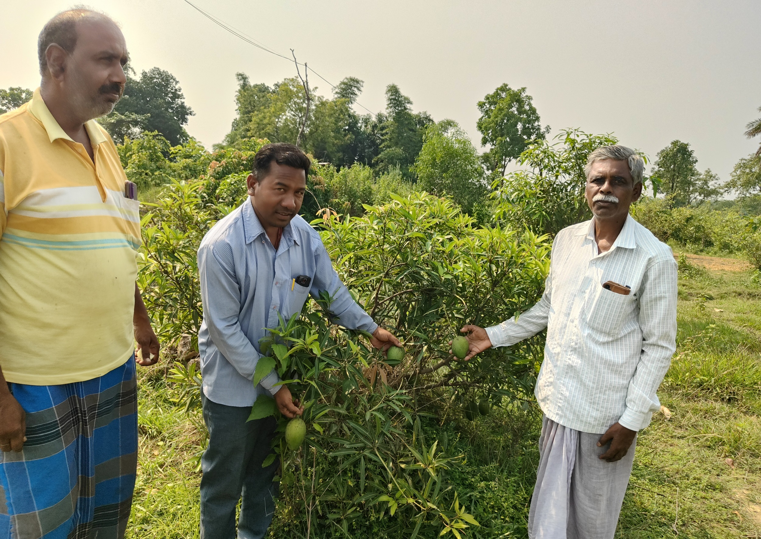 Bokaro News : सेवानिवृत्त शिक्षक ने रचा हरियाली का संसार
