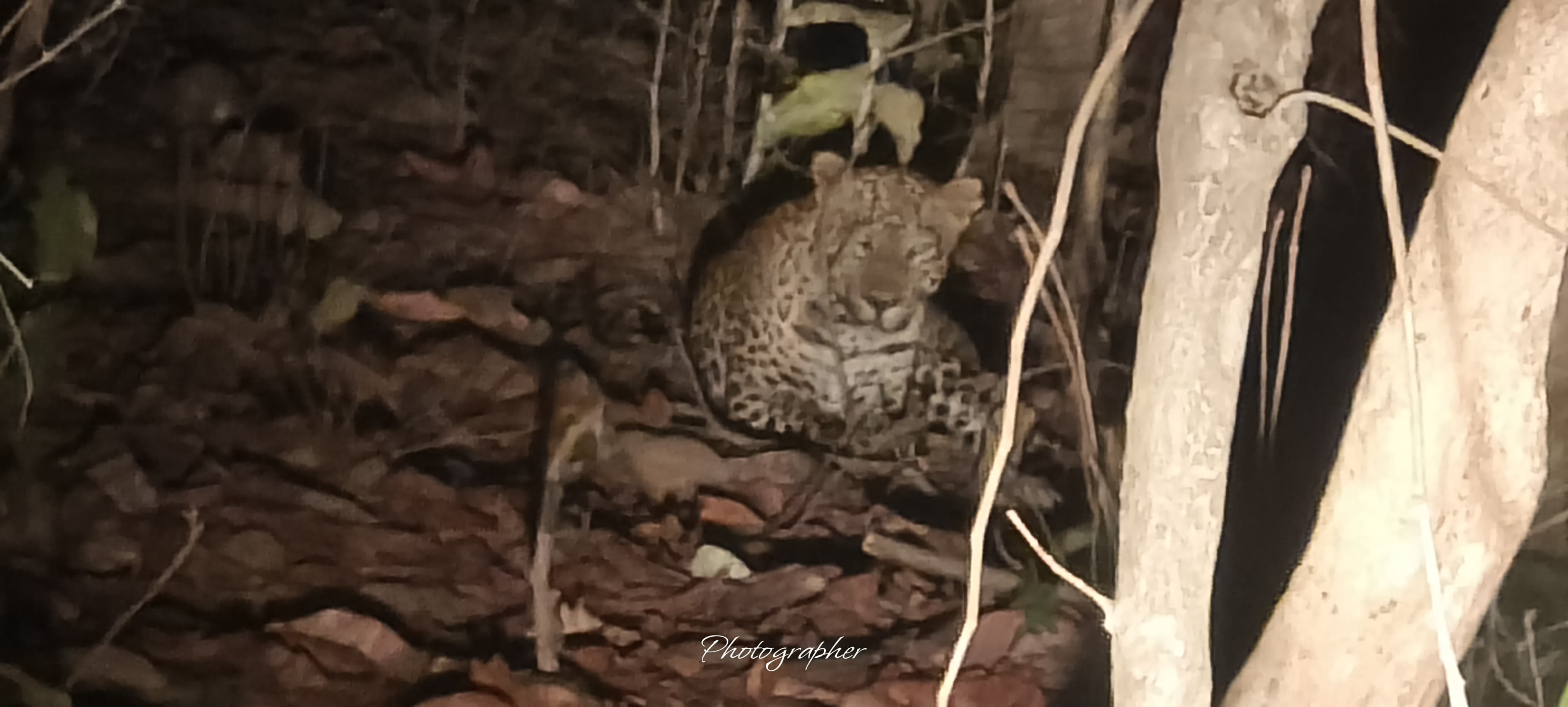 नक्सल छाया से निकलकर पर्यटन की नई पहचान गढ़ रहा बरहट,