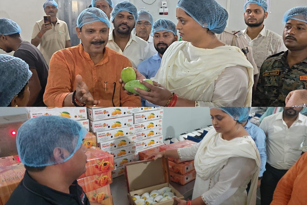 पीएम मोदी और राष्ट्रपति को भेजे जाएंगे बिहार के जर्दालू आम, बिहटा के रेडिएशन सेंटर पहुंचीं उद्योग मंत्री श्रेयसी सिंह