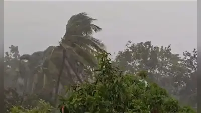 बंगाल में आफत की बारिश, 60 से अधिक पेड़ गिरे, कोलकाता के कई रूटों पर ट्रैफिक प्रभावित