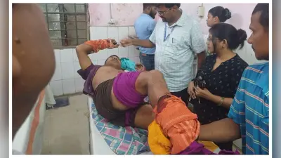 बगहा: खेत में काम कर रहे दंपति पर भालू का हमला, बुजुर्ग दंपति गंभीर रूप से घायल