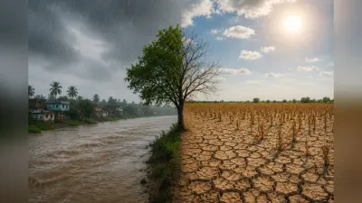 उत्तर बिहार में झमाझम बारिश, दक्षिण के कई जिले अब भी प्यासे, 18 जिलों में 50% से ज्यादा कमी