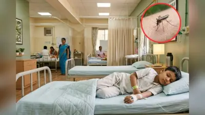 पूर्वी सिंहभूम में कई बच्चे ब्रेन मलेरिया की चपेट में, दो दिन में तीन बच्चों की मौत
