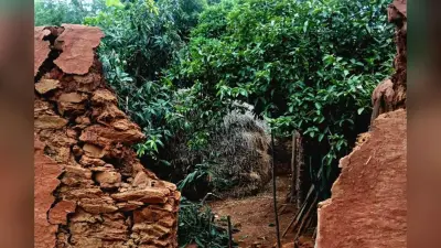 चांडिल में जंगली हाथियों का कहर, दीवार तोड़कर महिला को किया घायल