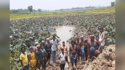 जीर्णोद्धार की बाट जोह रहा 150 साल पुराना तालाब, घाटशिला के 6 गांवों के किसान परेशान