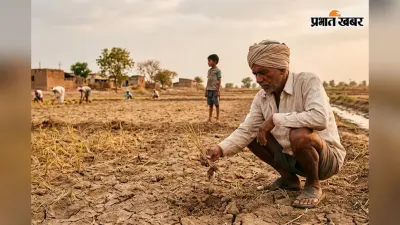 धान से दाल तक पर खतरा, देश के 200 जिलों पर अल नीनो का असर; मानसून पर IMD की बड़ी चेतावनी
