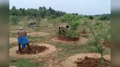 बौंसी बनेगा हरियाली का हब, ‘हरियाली लाओ, धरती बचाओ’ अभियान से सजेगा पूरा प्रखंड