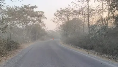 हवा में जहर घोल रहा है क्रशरों व वाहनों का धूलकण…