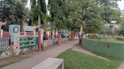 तीन वर्षों में 32 लाख पौधा लगाने का दावा, जमीन पर नहीं दिख रहा असर