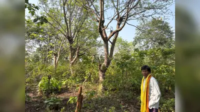 पिछले 35 वर्षों से पौधरोपण कर पर्यावरण संरक्षण रहे हैं राखोहरी महतो