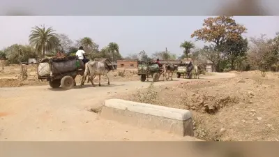 Giridih News :बेंगाबाद-तिसरी से होकर बिहार में खपाया जाता है अवैध कोयला