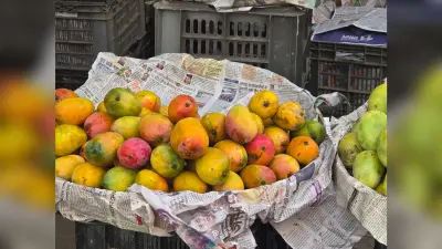 भागलपुर में जर्दालु-गुलाबखास का जलवा, बाजारों में उमड़ रही भीड़